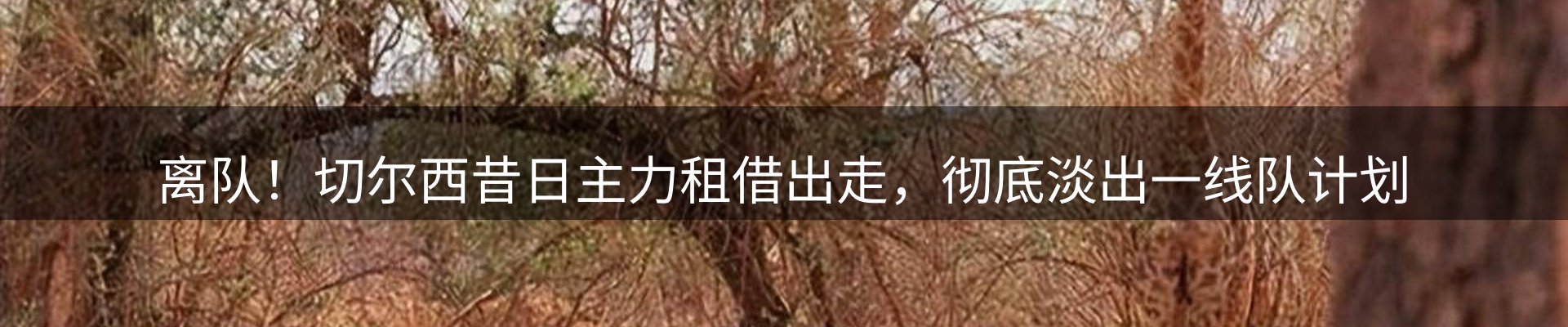 综合资讯
